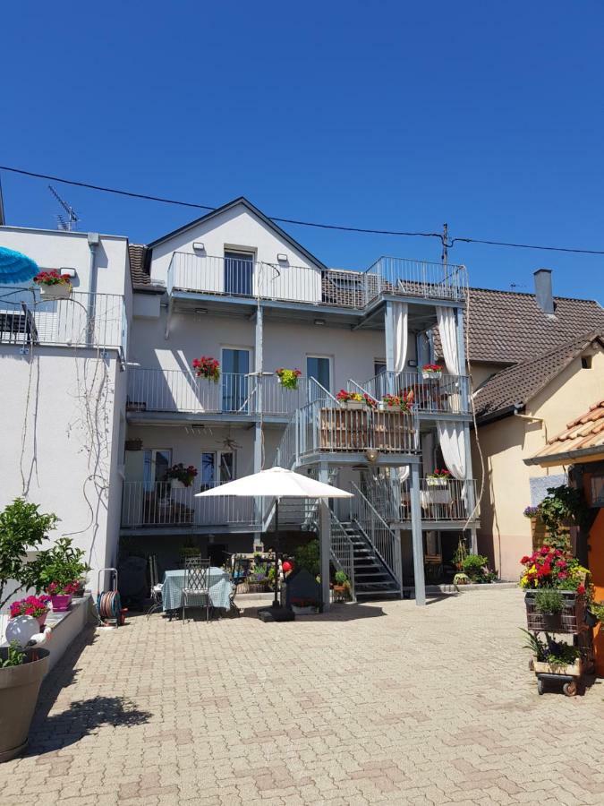 Appartamento Au Gré de l'ill 'l'ill' Horbourg Esterno foto