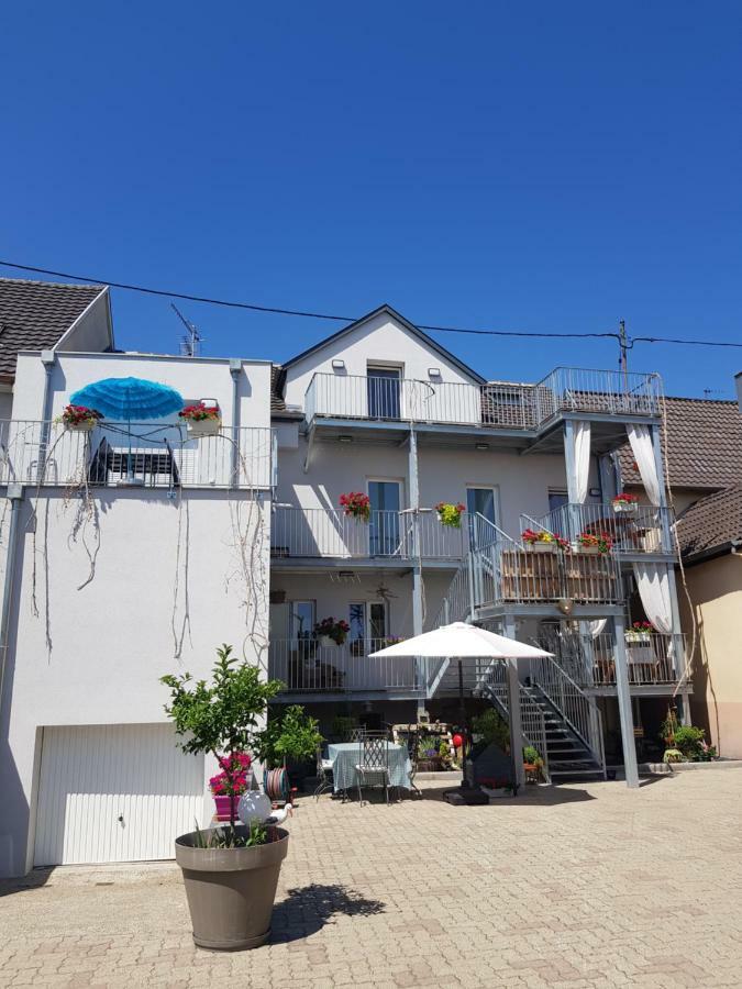 Appartamento Au Gré de l'ill 'l'ill' Horbourg Esterno foto